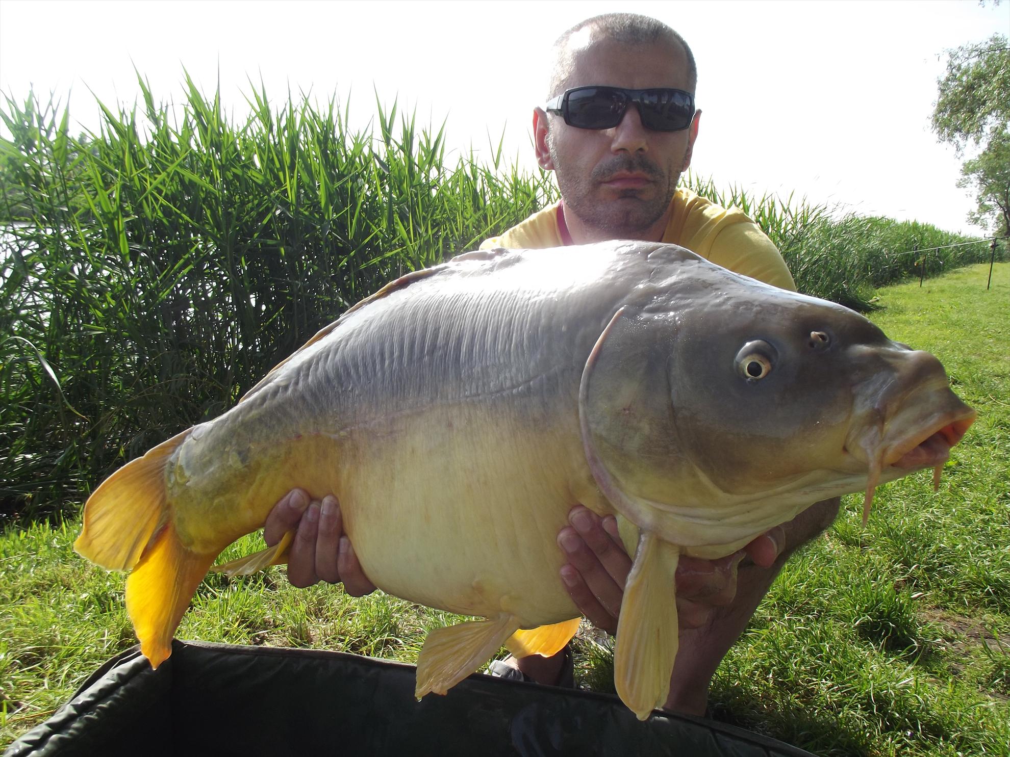 Pescuit - dscf1745.JPG